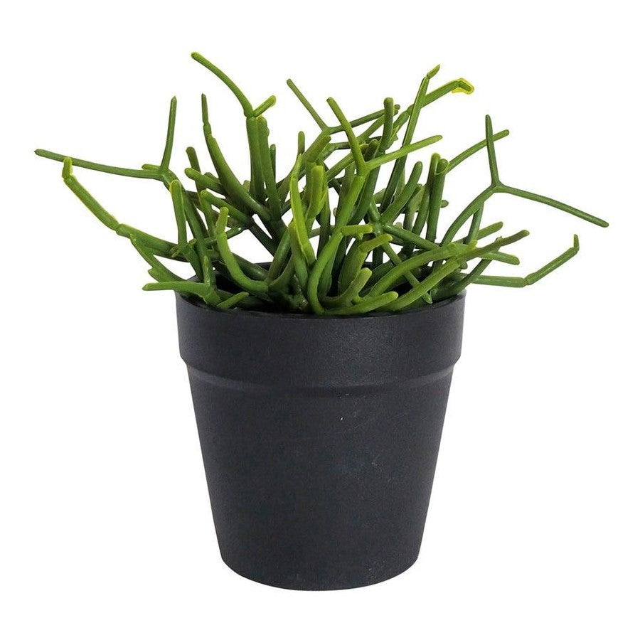 Pencil Cactus Artificial Plant – Green (Approx. 20cm)