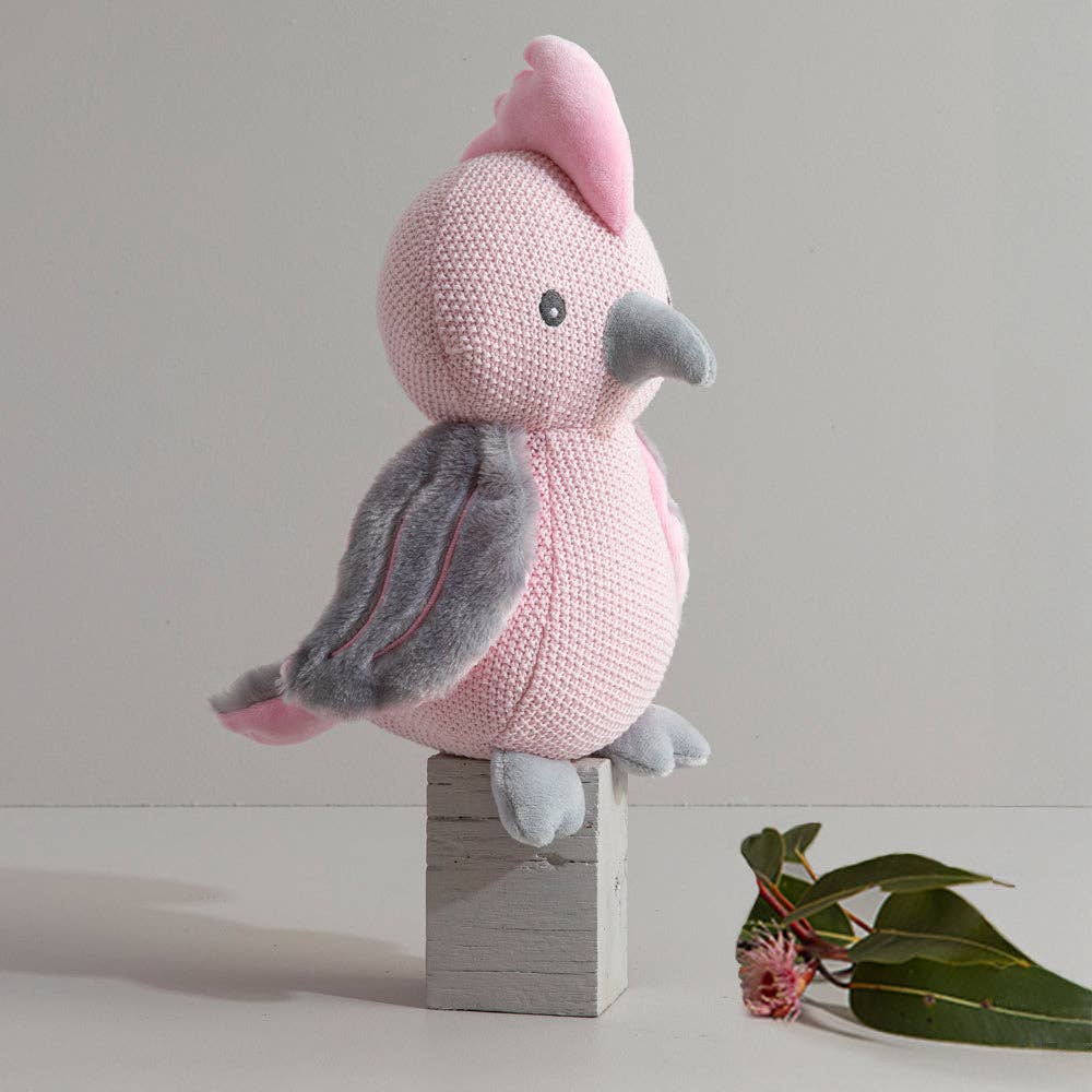 Gary the Galah Baby Bundle 2 piece set
