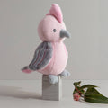 Gary the Galah Baby Bundle 2 piece set