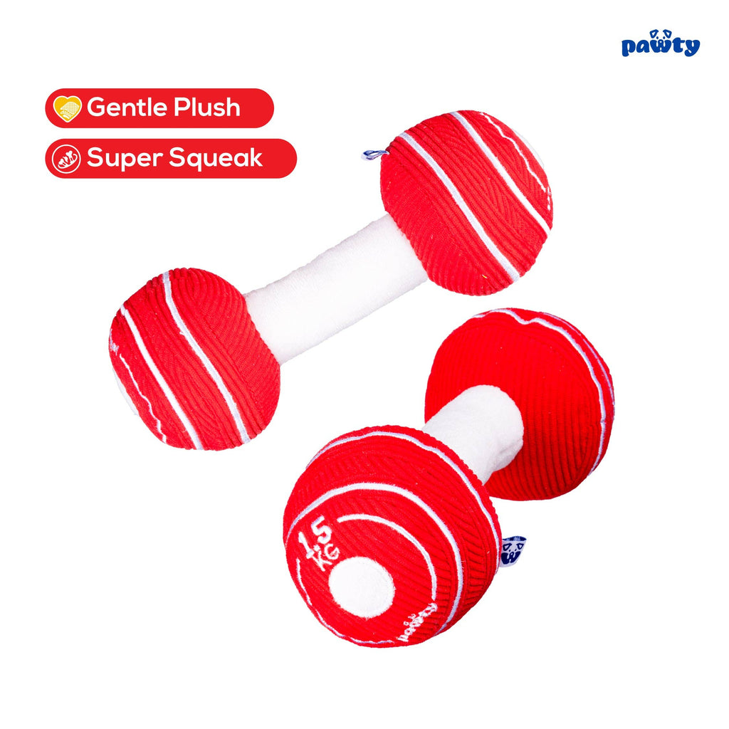 Dumbbell Dog Toy
