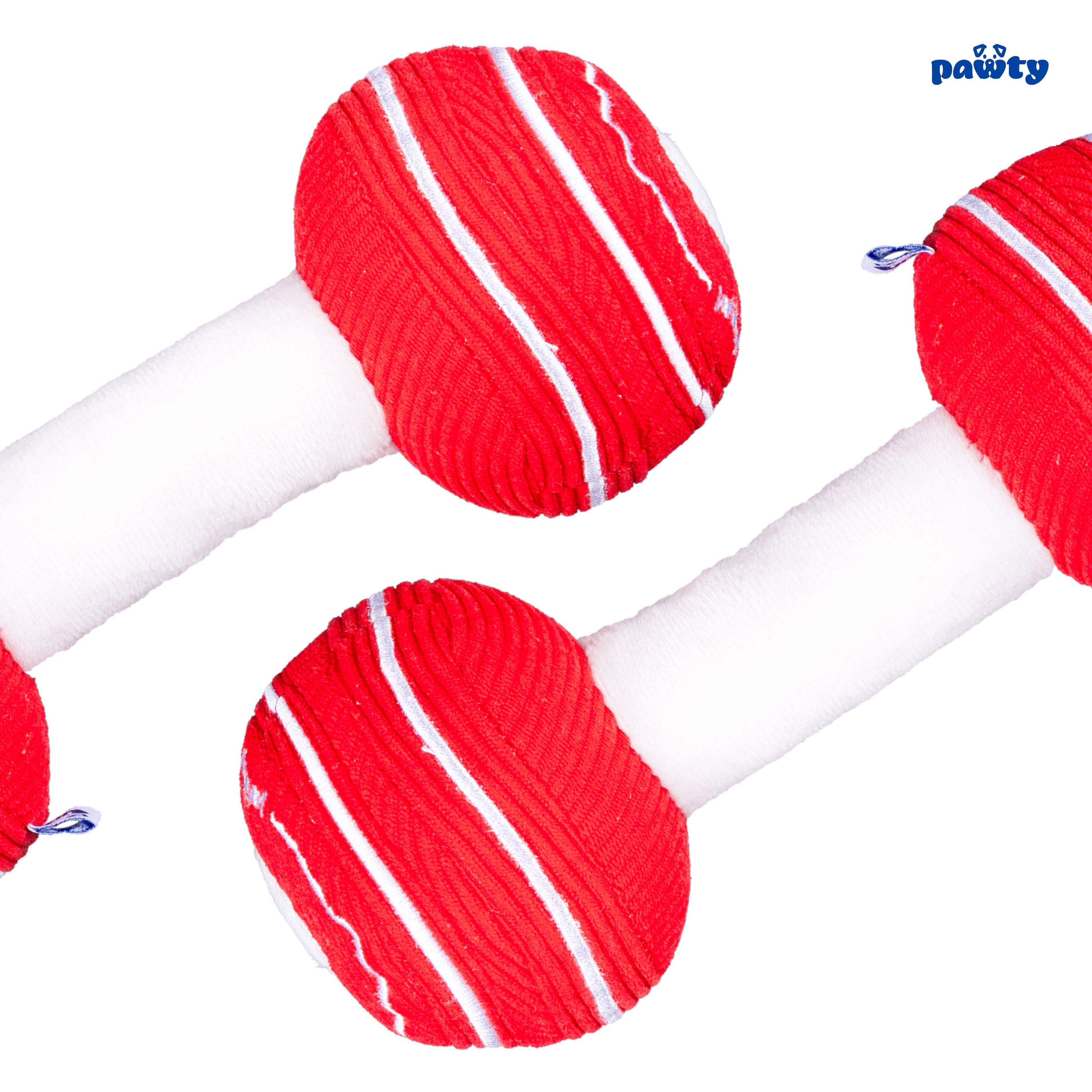Dumbbell Dog Toy