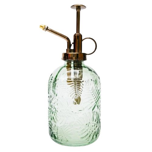 Tropical Water Mister Sage 20cm