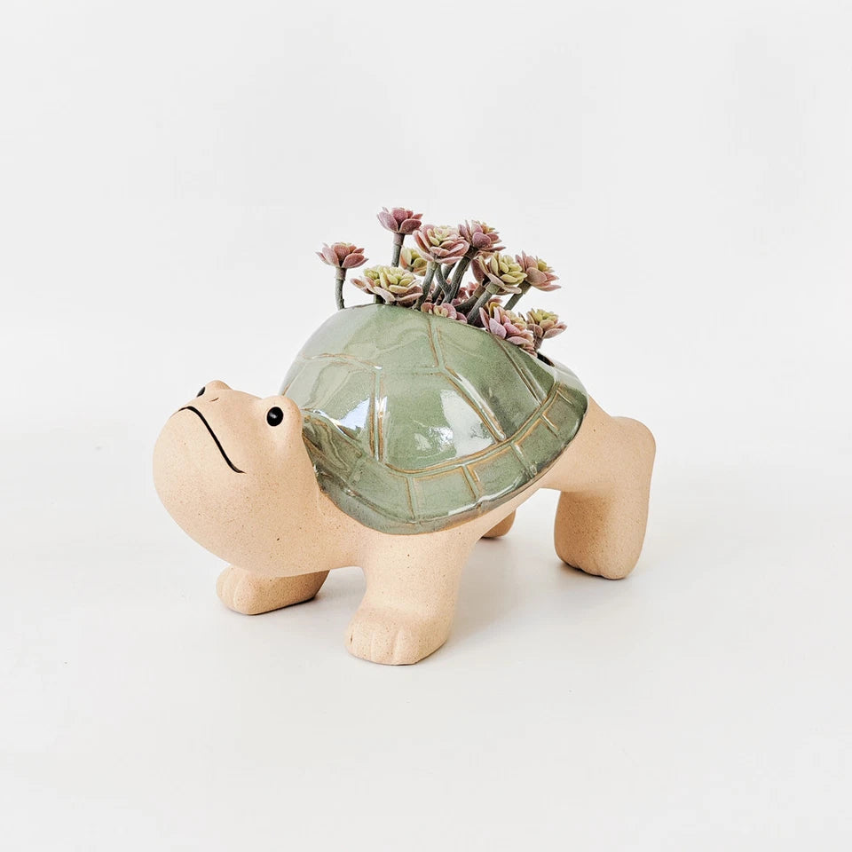 Turtle Planter Pot Hanger Sage 21cm