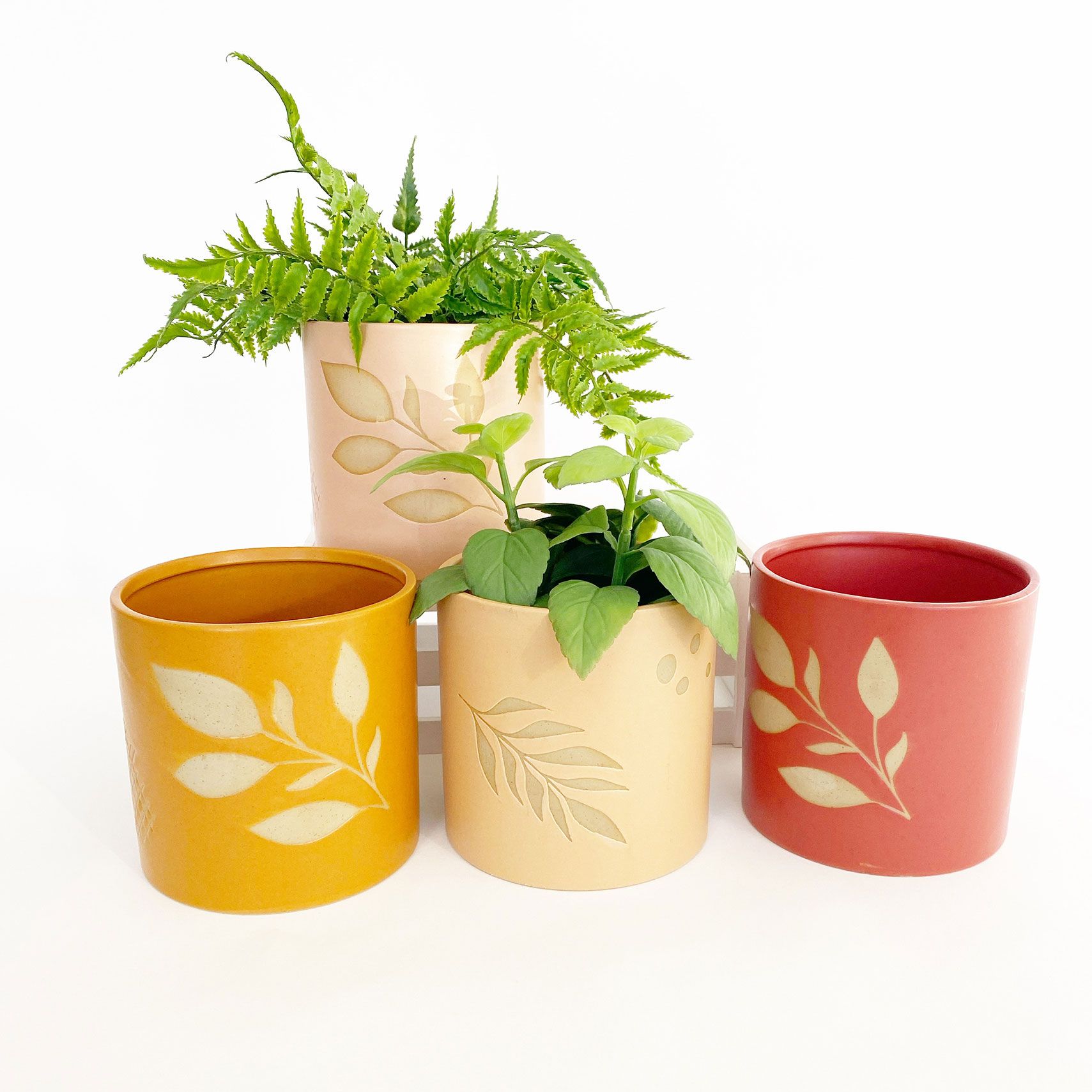 Shae Foliage Planter – Mustard (Medium, 14cm)