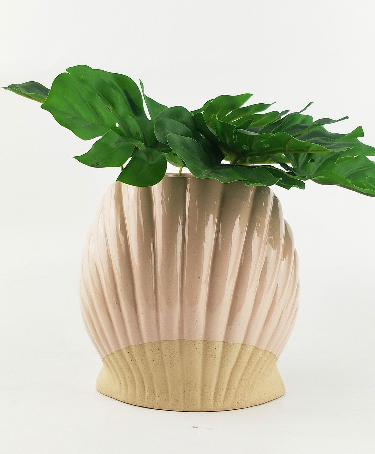 Clam Shell Planter – Pink (17 cm)