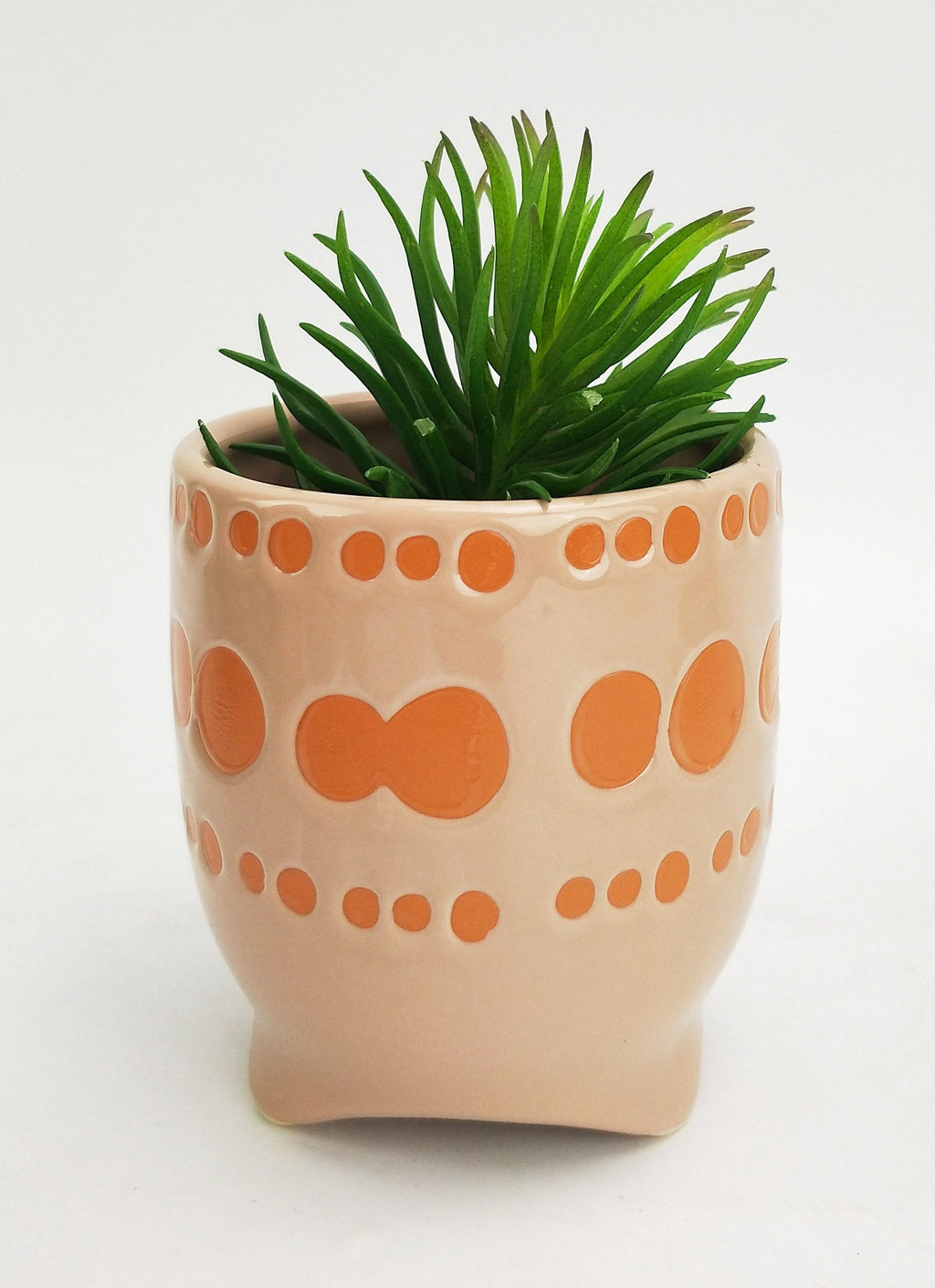 Remy Planter – Sherbet (11 cm)