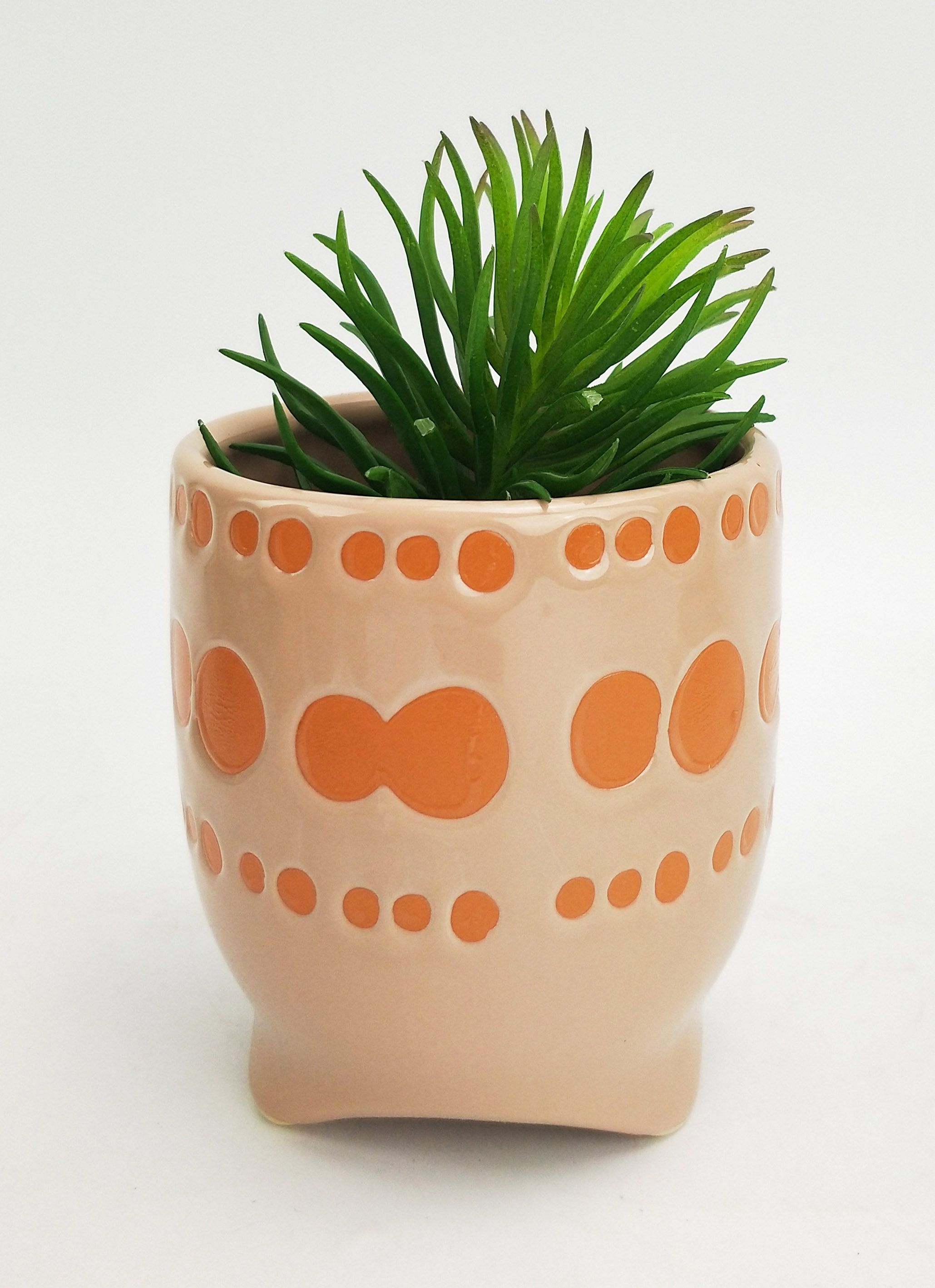 Remy Planter – Sherbet (11 cm)