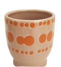 Remy Planter – Sherbet (11 cm)