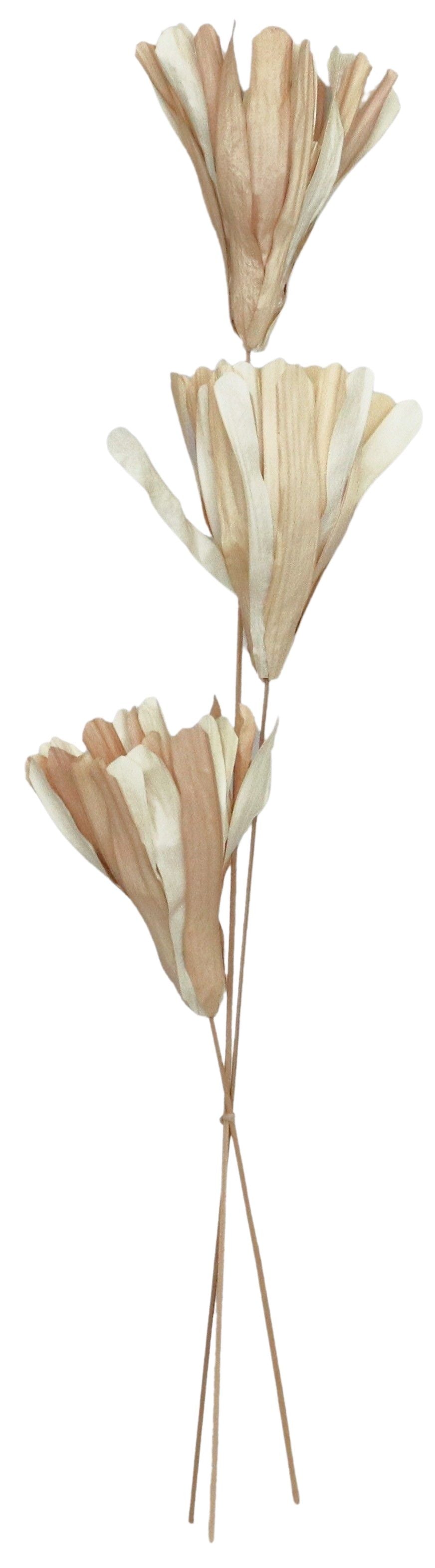 Dried Fire Leaf Flowers – Triple Stem (Natural)
