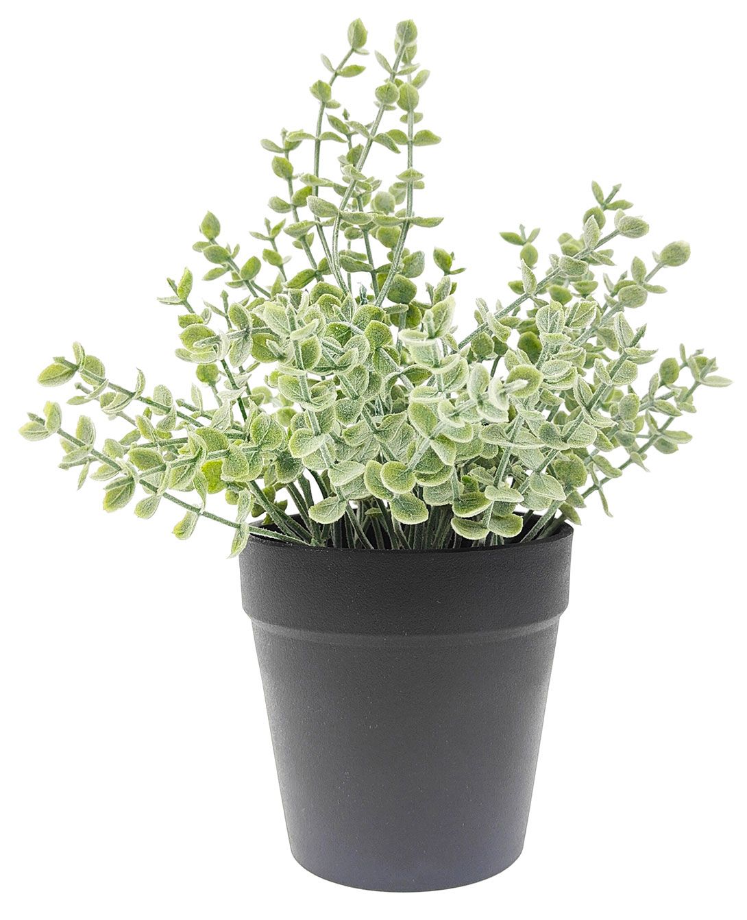 Eucalyptus Plant – Green (23cm)