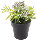 Mini Berry Bush – Lilac (17 cm)