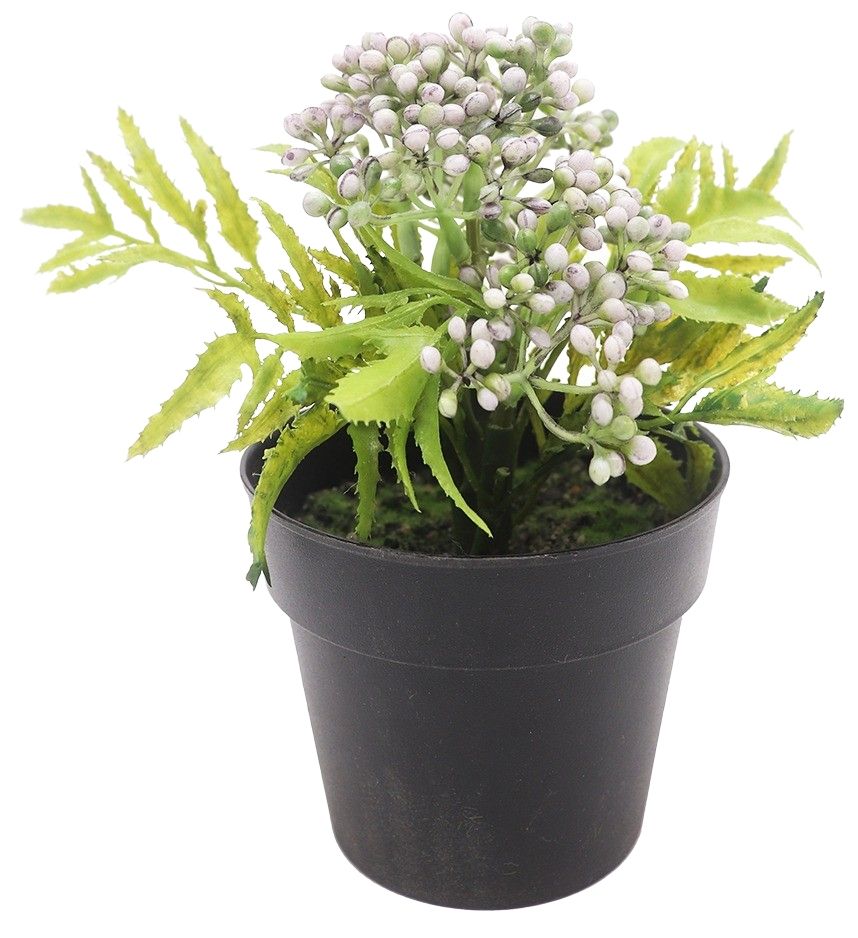 Mini Berry Bush – Lilac (17 cm)