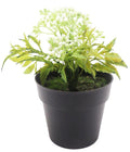 Mini Berry Bush – White (17 cm)