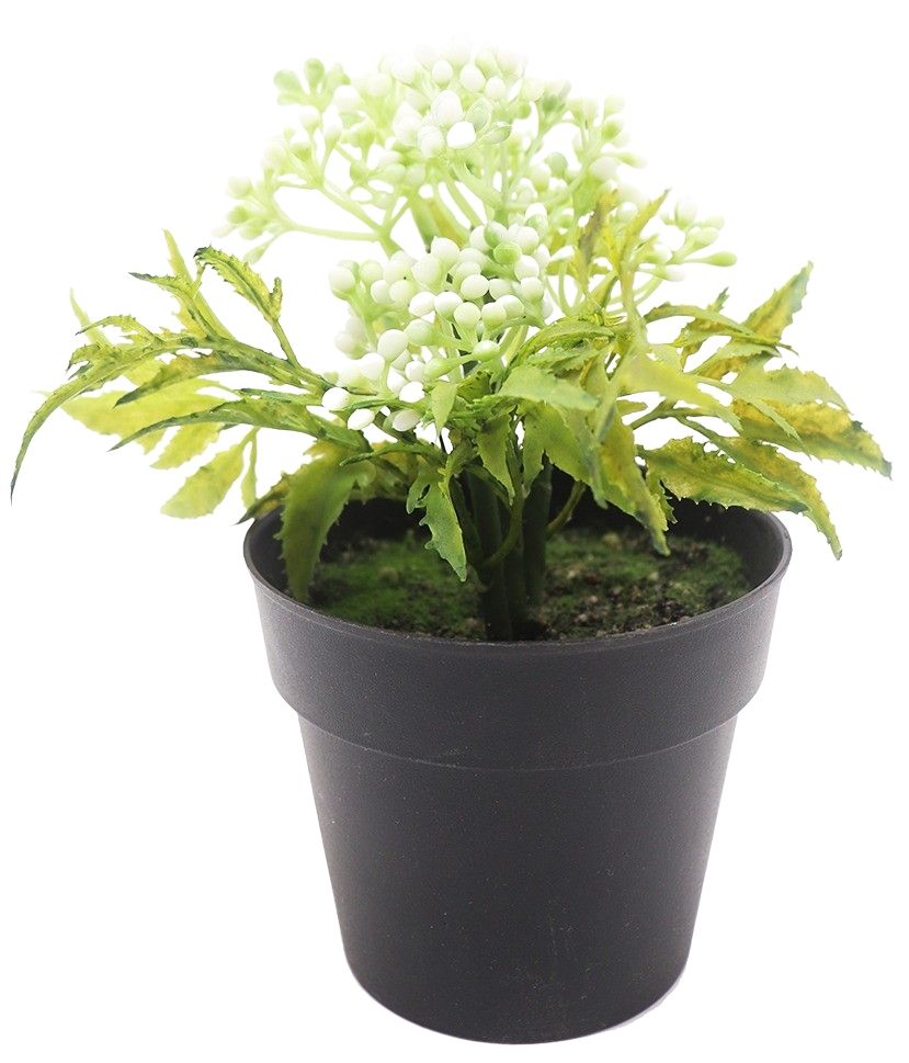 Mini Berry Bush – White (17 cm)